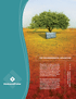 MagnumStone Environmental Brochure